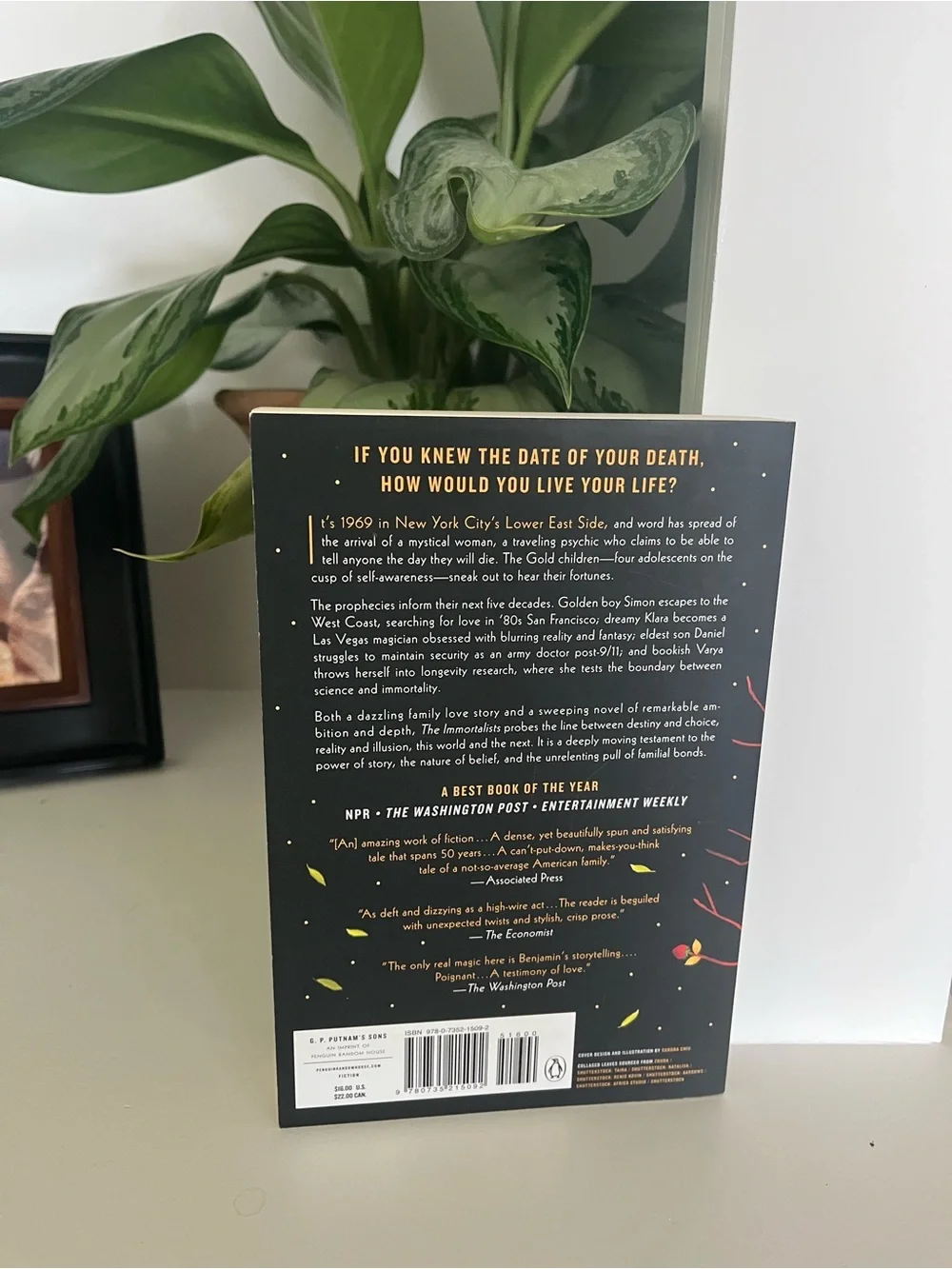 The Immortalists by Chloe Benjamin - Black Cover Paperback